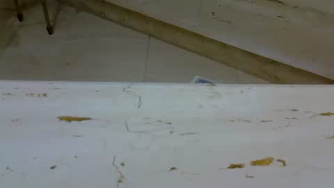 Snapshot of isd1969 chatting on 7, 1, 2025 isd1969 online show from 7, 1, 2025