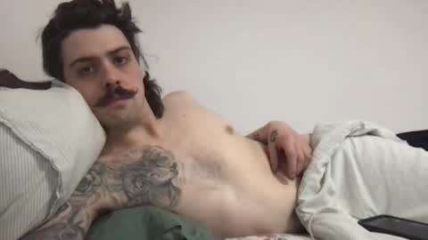 Islandcowboy  online show from 8, 4, 2026