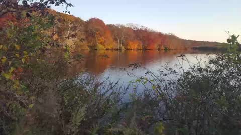 Jim online show from 23, 2, 2025