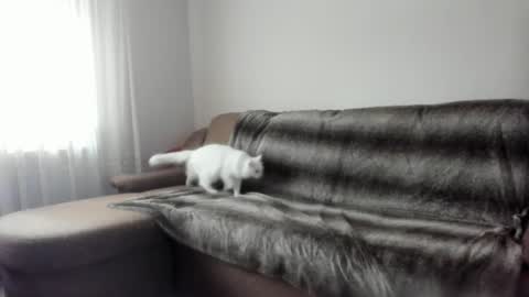 Snapshot of issabelle_69 chatting on 9, 2, 2025 Issabelle online show from 9, 2, 2025