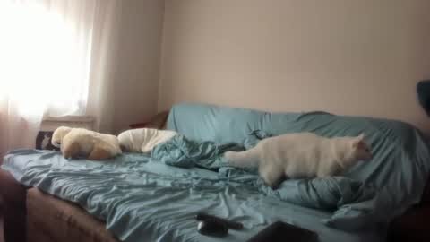 Snapshot of issabelle_69 chatting on 4, 3, 2025 Issabelle online show from 4, 3, 2025