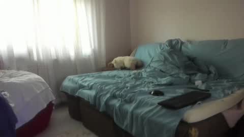 Snapshot of issabelle_69 chatting on 20, 10, 2025 Issabelle online show from 20, 10, 2025