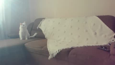 Snapshot of issabelle_69 chatting on 30, 10, 2025 Issabelle online show from 30, 10, 2025