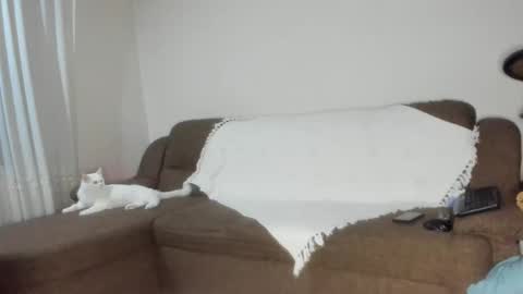 Snapshot of issabelle_69 chatting on 6, 11, 2025 Issabelle online show from 6, 11, 2025