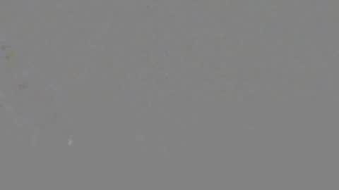 Snapshot of itsnyladior777 chatting on 6, 6, 2026 ItsNyladior online show from 6, 6, 2026