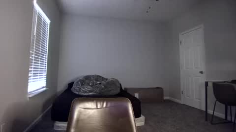 TARZAN online show from 17, 12, 2024