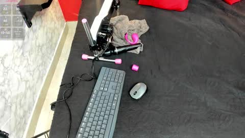 Ivis  online show from 29, 11, 2025