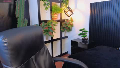  IVY online show from 4, 10, 2025