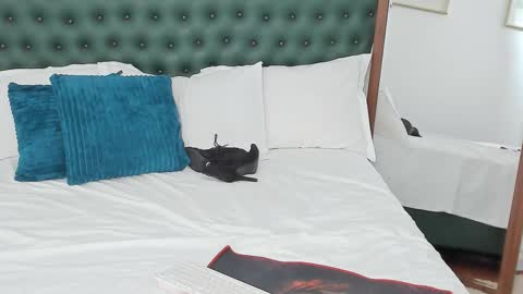 IvyHotFoxy online show from 13, 2, 2026