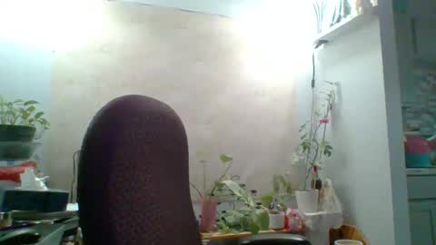 ivyjane3522 online show from 7, 5, 2026