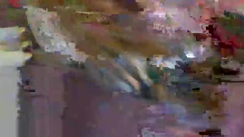 iwantthenutt online show from 25, 3, 2026