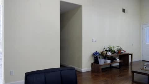 Mugen online show from 4, 4, 2026