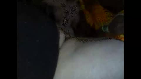 Snapshot of jaap08 chatting on 9, 4, 2026 speedy online show from 9, 4, 2026