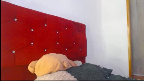 Laick online show from 1, 3, 2026