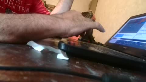 Snapshot of jackgow chatting on 18, 7, 2026 jackgow online show from 18, 7, 2026