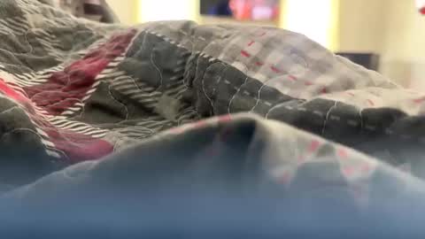 Snapshot of jackinjames92 chatting on 23, 1, 2025 jackinjames92 online show from 23, 1, 2025