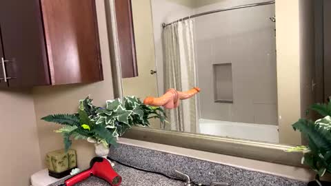 Jack Xavier  Missy online show from 12, 2, 2026