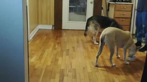 funtimes49203 online show from 10, 1, 2026