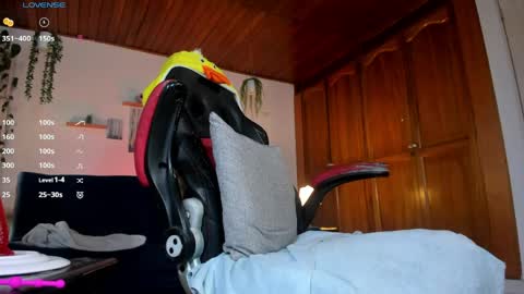 Jacob Stevens Cruz online show from 29, 3, 2026