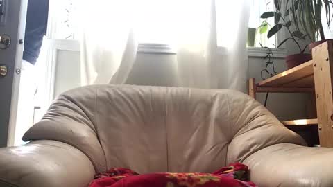 Jacob online show from 14, 2, 2026