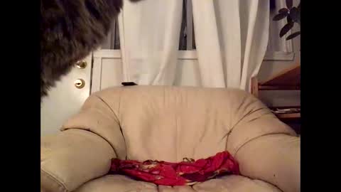 Jacob online show from 17, 3, 2026