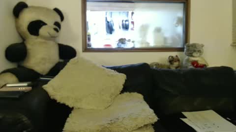 Jacques online show from 9, 1, 2025