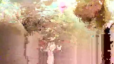 Snapshot of jadedmoshier chatting on 28, 11, 2025 jadedmoshier online show from 28, 11, 2025