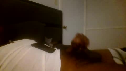 Snapshot of jamacianmehorny chatting on 16, 12, 2024 Jamacian online show from 16, 12, 2024