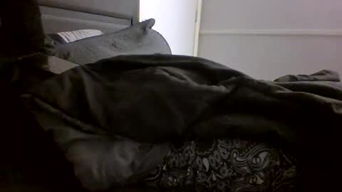 Snapshot of jamacianmehorny chatting on 28, 1, 2025 Jamacian online show from 28, 1, 2025