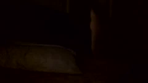 Snapshot of jamacianmehorny chatting on 2, 2, 2025 Jamacian online show from 2, 2, 2025