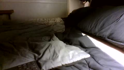 Snapshot of jamacianmehorny chatting on 30, 9, 2025 Jamacian online show from 30, 9, 2025