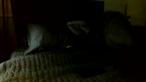 Snapshot of jamacianmehorny chatting on 7, 11, 2025 Jamacian online show from 7, 11, 2025