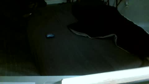 Snapshot of jamacianmehorny chatting on 14, 12, 2025 Jamacian online show from 14, 12, 2025