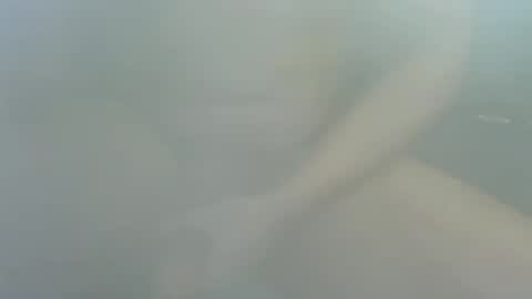 James2377  online show from 22, 12, 2025