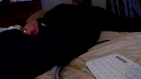 what you in too online show from 2, 12, 2025