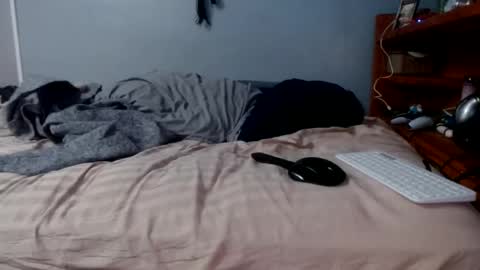 what you in too online show from 16, 2, 2026