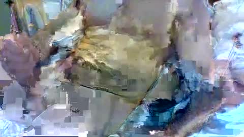 jameswhite5001 online show from 8, 2, 2025