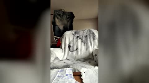 jameswolf777 online show from 30, 5, 2026