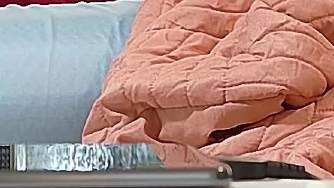 Bootyshows online show from 15, 9, 2025