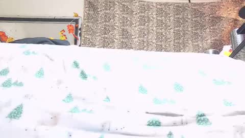 Bootyshows online show from 23, 10, 2025