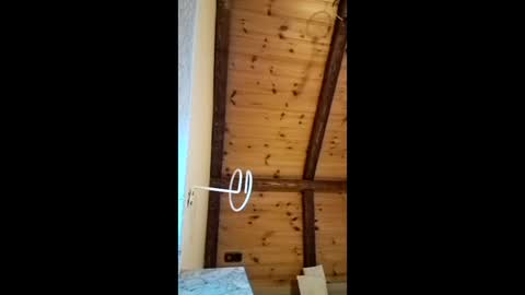 qjny online show from 25, 3, 2026