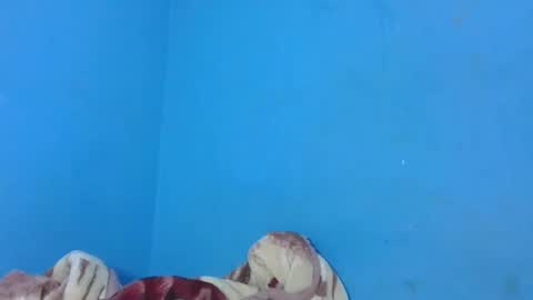 JarevavaX online show from 25, 1, 2025