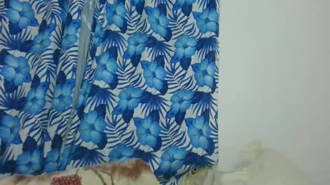 JarevavaX online show from 12, 2, 2025