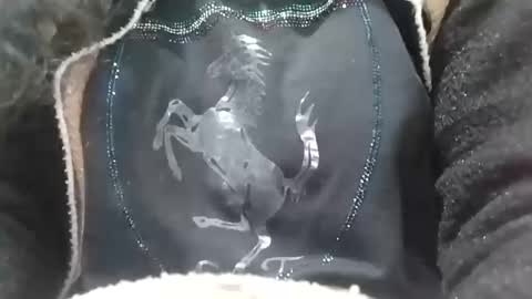 Snapshot of jasspreettt chatting on 2, 2, 2025 jasspreettt online show from 2, 2, 2025