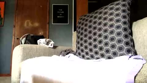 Jaws  online show from 10, 9, 2025