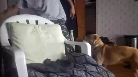 Snapshot of jaxstrong7 chatting on 9, 3, 2026 jaxstrong7 online show from 9, 3, 2026