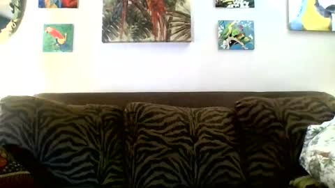 jay-jay1475 online show from 8, 3, 2025