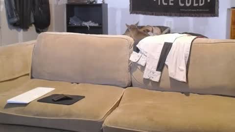 O F   jay short786 online show from 19, 2, 2025