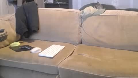 O F   jay short786 online show from 9, 3, 2025