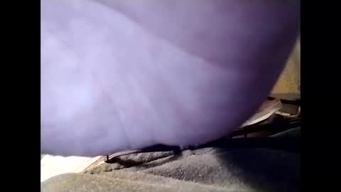 Jaybird online show from 25, 12, 2024